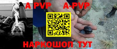стаф Донской