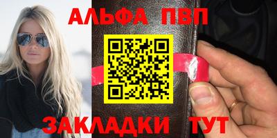 стаф Донской